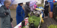 news-details - Вести-Пермь