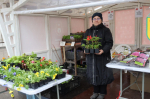 В столице Прикамья проходит весенняя ярмарка продовольствия и саженцев от местных производителей
