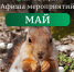 МКУ «ПермГорЛес» приглашает пермяков на майские мероприятия! - Управление экологии Перми
