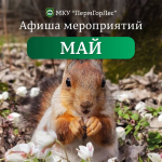 МКУ «ПермГорЛес» приглашает пермяков на майские мероприятия!
