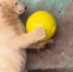 article21743.jpg - 59i.Ru