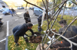 В долине реки Данилиха в Перми посадят около двух тысяч деревьев и кустарников