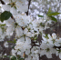 article21757.jpg - 59i.Ru