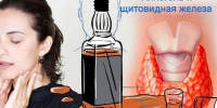 Алкоголь и щитовидная железа: почему важно отказаться от спиртного? - ГБУЗ ПК ГКП №5