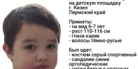 Поиск мальчика - Новый Компаньон