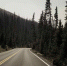 Фото: автор Mason Wildfang, источник Unsplash - ПГТУ