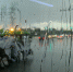 В Пермском крае ожидаются сильные ливни и шквалистый ветер - V-Kurse.Ru