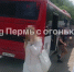 Автобус - Новый Компаньон