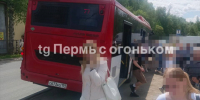 Автобус - Новый Компаньон