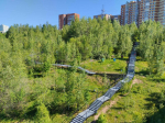 Благоустройство Егошихи
