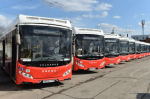автобусы