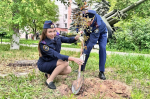 В Пермском госпитале для ветеранов сотрудники СК высадили Аллею Памяти