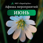 МКУ «ПермГорЛес» приглашает пермяков на июньские мероприятия!