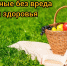 Как провести праздничные выходные без вреда для здоровья? - ГБУЗ ПК ГКП №5