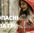 Как не заблудиться в лесу во время сбора грибов - ГУ МЧС России по Пермскому краю
