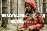 Как не заблудиться в лесу во время сбора грибов