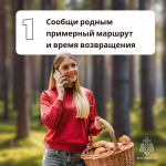 Как не заблудиться в лесу во время сбора грибов