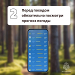 Как не заблудиться в лесу во время сбора грибов