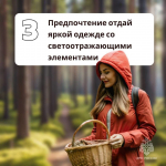 Как не заблудиться в лесу во время сбора грибов