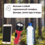 Как не заблудиться в лесу во время сбора грибов