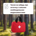 Как не заблудиться в лесу во время сбора грибов