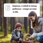 Как не заблудиться в лесу во время сбора грибов