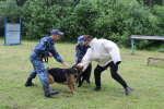 В ИК-40 ГУФСИН России по Пермскому краю состоялись показательные выступления, посвящённое 116-й годовщине кинологической службы