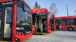 волгобас автобусы