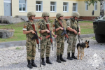 На кинологическом факультете Пермского военного института Росгвардии прошел государственный экзамен