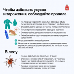 Свыше 21 тысячи жителей Пермского края обратились за медицинской помощью после укуса клещей