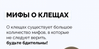 Развеиваем мифы о клещевой активности - ГБУЗ ПК ГКП №5
