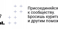 spot_img - V-Kurse.Ru