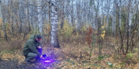 В Чайковском мужчина признан виновным в убийстве своей знакомой в 2008 году - Следственный комитет