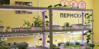 В Пермском крае за год откроют еще семь агроклассов - Комсомольская Правда