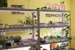 В Пермском крае за год откроют еще семь агроклассов