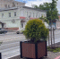 В Пермский край резко увеличились поставки саженцев туи из Беларуси - Ветта