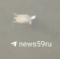 news-details - Вести-Пермь
