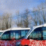 автобус - Новый Компаньон