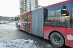 автобус-гармошка