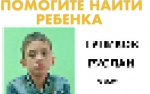 В Пермском крае нашли пропавшего 9-летнего мальчика