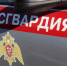 В Пермском крае росгвардейцы спасли детей из пожара - Росгвардия
