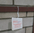 В Прикамье птицефабрика установила ловушки против опаснейшего капрового жука - Комсомольская Правда