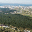 Управлением по экологии и природопользованию администрации города Перми проанализированы итоги опроса «Природа в жизни пермяков» - Управление экологии Перми