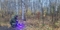 Пермяк признан виновным в мошенничестве и убийстве пенсионера, совершенном в 2019 году - Следственный комитет