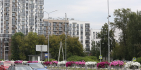 цветы на ул. Строителей - Новый Компаньон