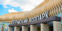 Президент России Владимир Путин открыл новый зоопарк в Перми - Администрация губернатора