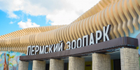 Новый Пермский зоопарк начнет работу 7 августа - Комсомольская Правда