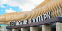Новый зоопарк в Перми открыл двери для посетителей - Gorod342.Ru