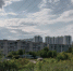 Пермяков попросили не гулять в городских лесах во время повторной обработки от клещей - V-Kurse.Ru