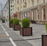 В Перми этой осенью высадят более 9000 саженцев - V-Kurse.Ru
